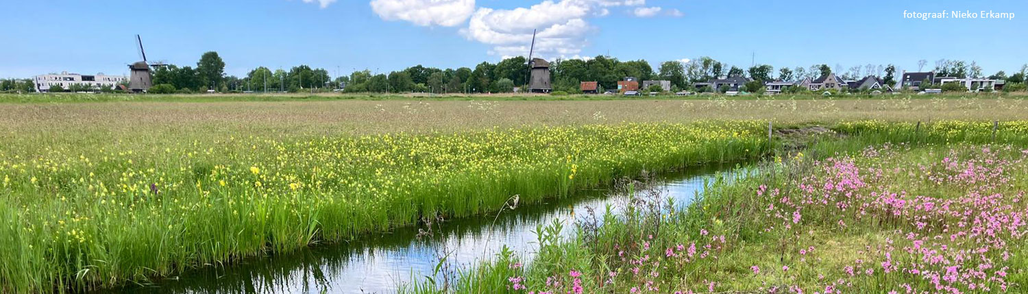 Stichting Oudorperhout