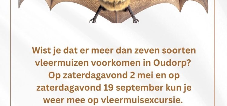 Vleermuisexcursies op 2 mei en 19 september